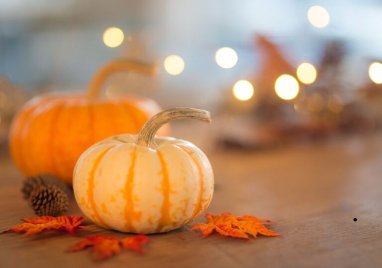 November Activities and Themes